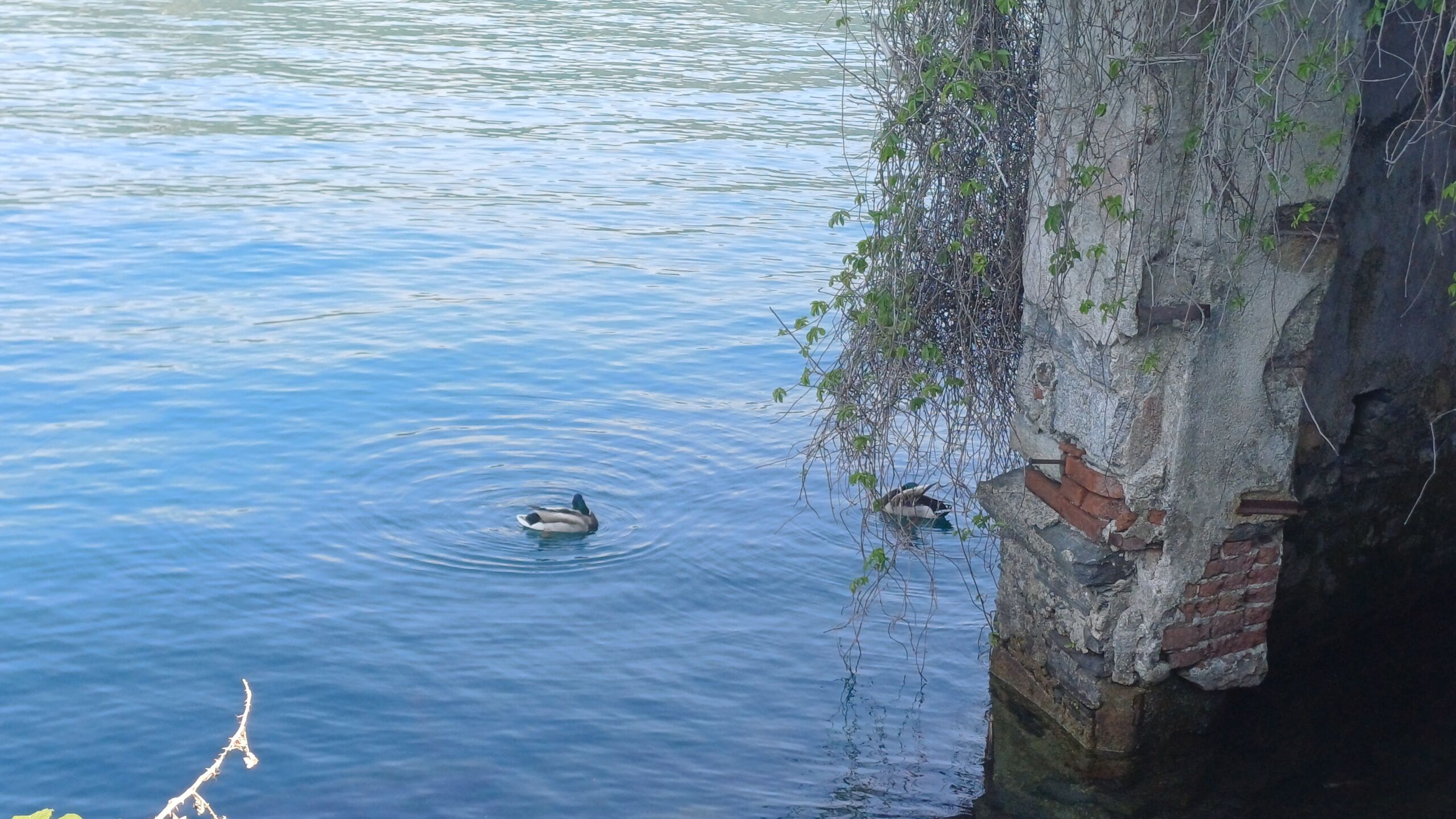 Foto ricordo della gita al Lago d’Orta Foto ricordo della gita al Lago d'Orta
